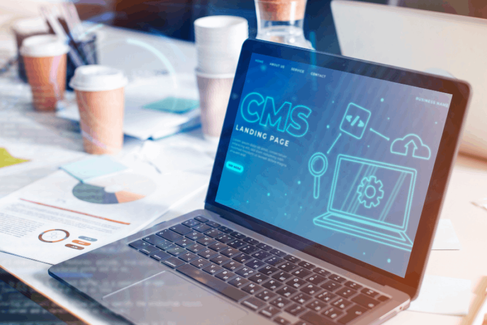 Custom CMS Development