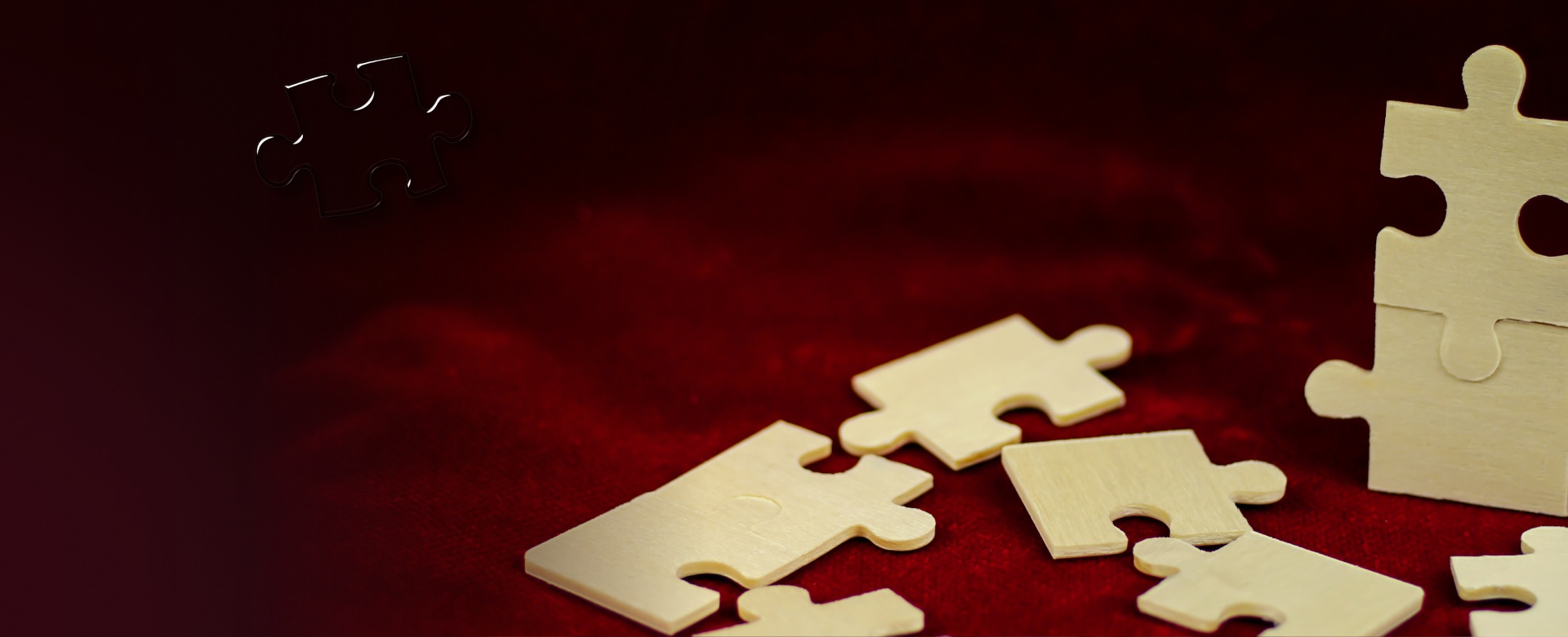 Jigsaw Jungle